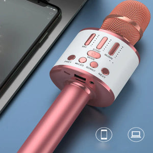 Karaoke Party Microphone With Bluetooth Rieworkes