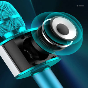 Karaoke Party Microphone With Bluetooth Rieworkes