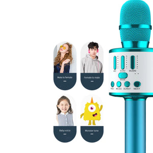 Karaoke Party Microphone With Bluetooth Rieworkes