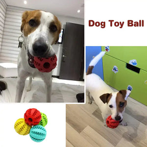 Treat Ball for Cats and Dogs Rieworkes