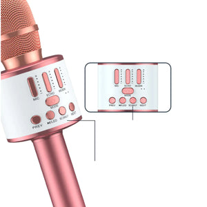 Karaoke Party Microphone With Bluetooth Rieworkes