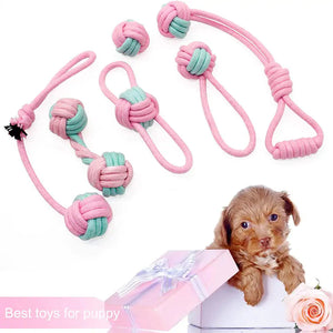 Pet Dog Chew Toys Rieworkes