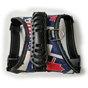 Dog Leashes Rieworkes