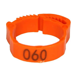 Chicken Foot Rings Rieworkes