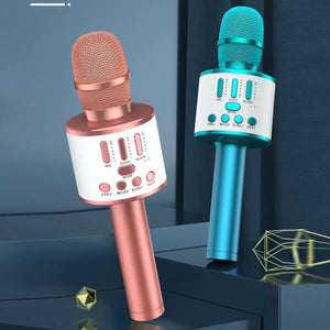 Karaoke Party Microphone With Bluetooth Rieworkes