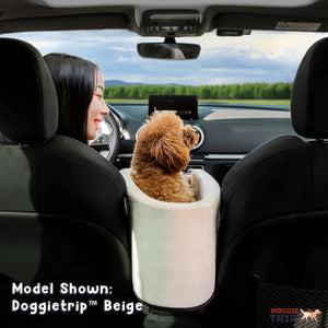 Safety Car Seat For Small Pets Rieworkes
