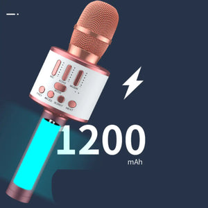 Karaoke Party Microphone With Bluetooth Rieworkes