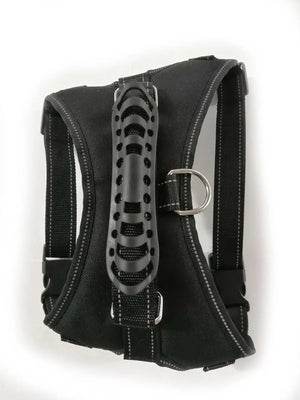 Dog Leashes Rieworkes