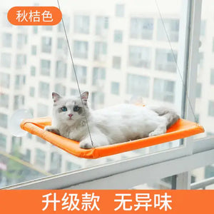 Suction Cup Hanging Cat Hammock Rieworkes