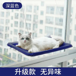 Suction Cup Hanging Cat Hammock Rieworkes
