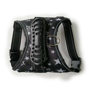 Dog Leashes Rieworkes