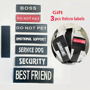 Reflective Dog Raincoat Rieworkes