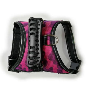 Dog Leashes Rieworkes