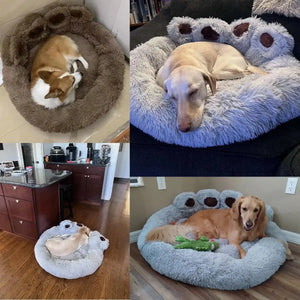Pet Dog Sofa Beds Rieworkes