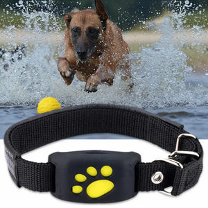 Pet GPS Tracker Collar Rieworkes