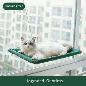 Suction Cup Hanging Cat Hammock Rieworkes