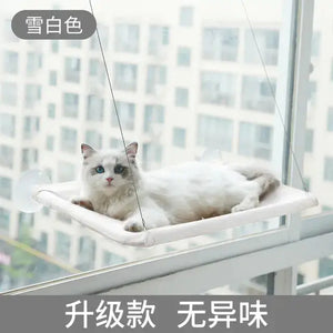 Suction Cup Hanging Cat Hammock Rieworkes