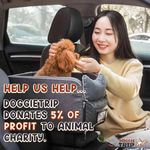 Safety Car Seat For Small Pets Rieworkes