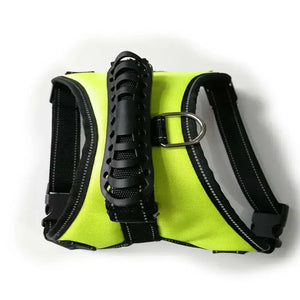 Dog Leashes Rieworkes