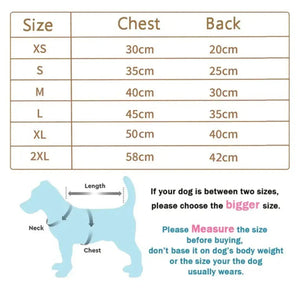 Bear Embrace Pullover Rieworkes