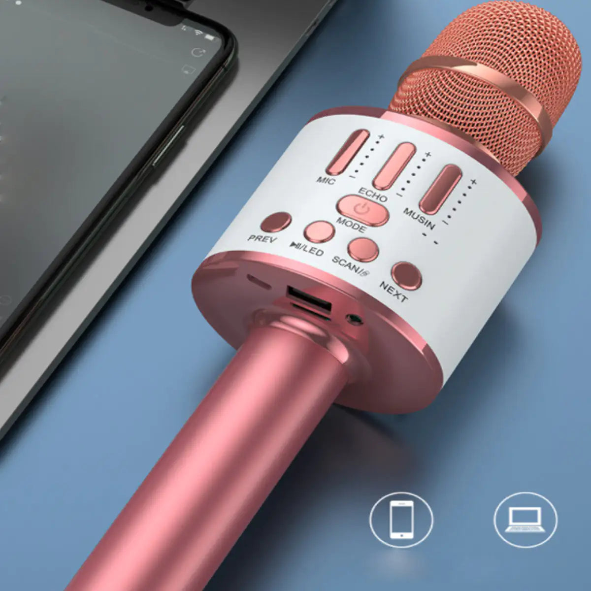 Karaoke Party Microphone With Bluetooth Rieworkes