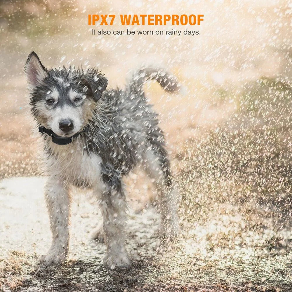 Automatic Anti Bark Barking Dog Shock Control Collar Device Large Medium Small Rieworkes