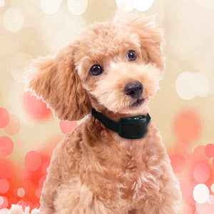 Automatic Anti Bark Barking Dog Shock Control Collar Device Large Medium Small Rieworkes