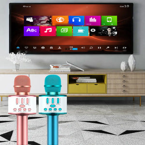 Karaoke Party Microphone With Bluetooth Rieworkes