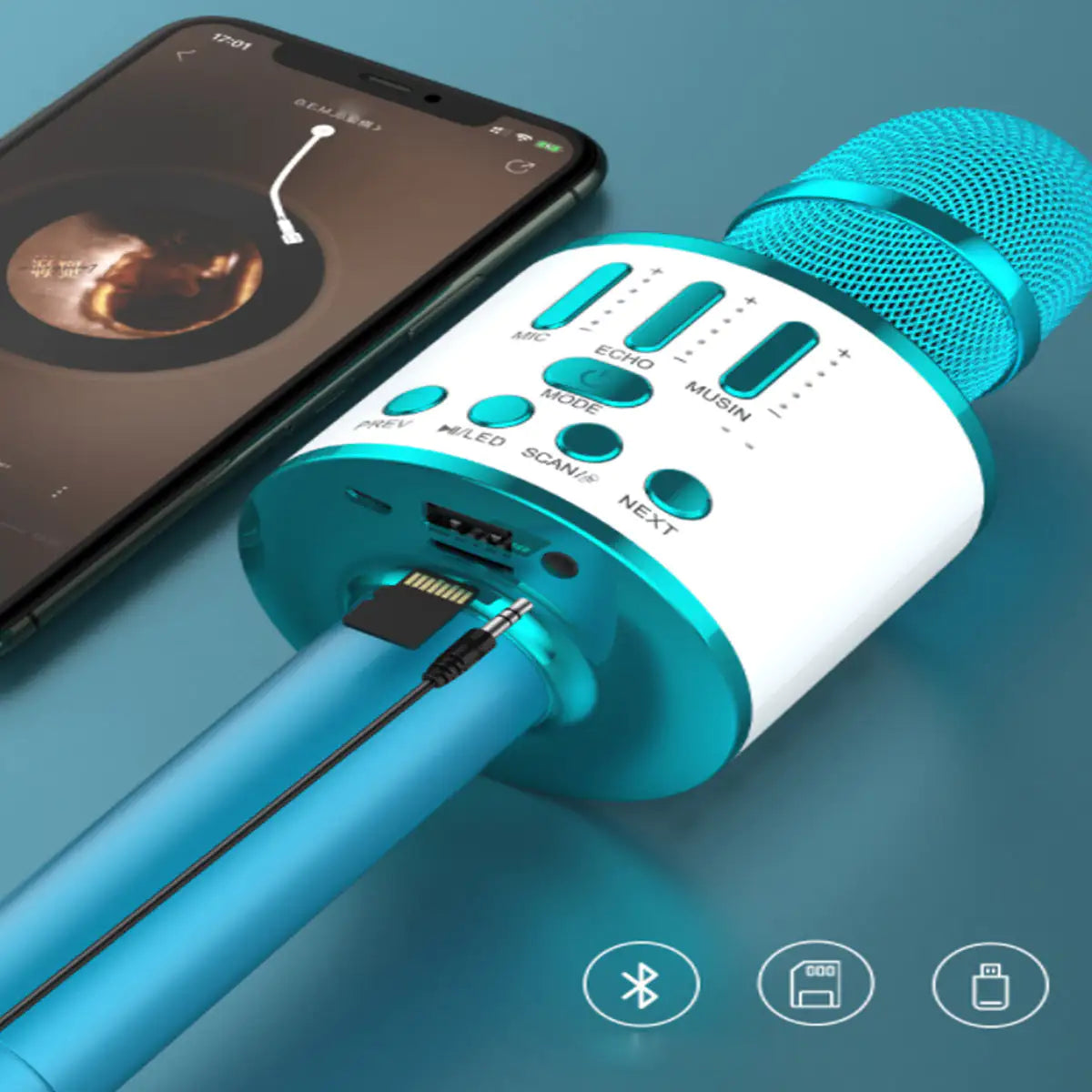 Karaoke Party Microphone With Bluetooth Rieworkes