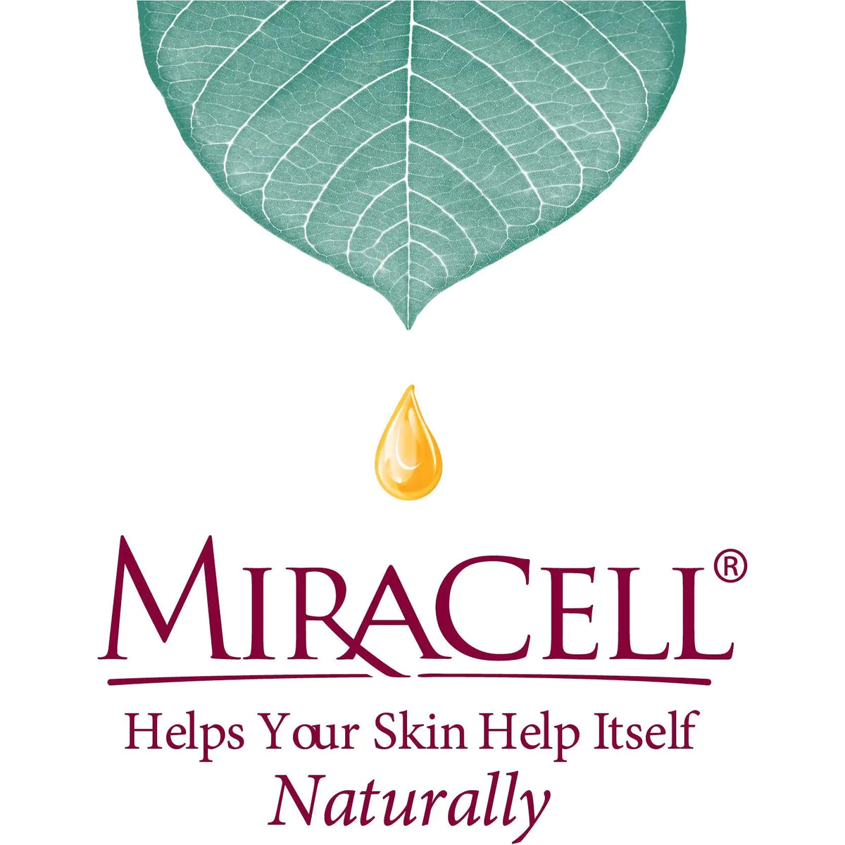 Miracell ProEar, Ear Drops for Itchy Ears, Clogged Ears, Irritated Ears, Dry Ears. All Natural Ear Oil for, Babies, Kids, Adults, and Dogs 0.5oz