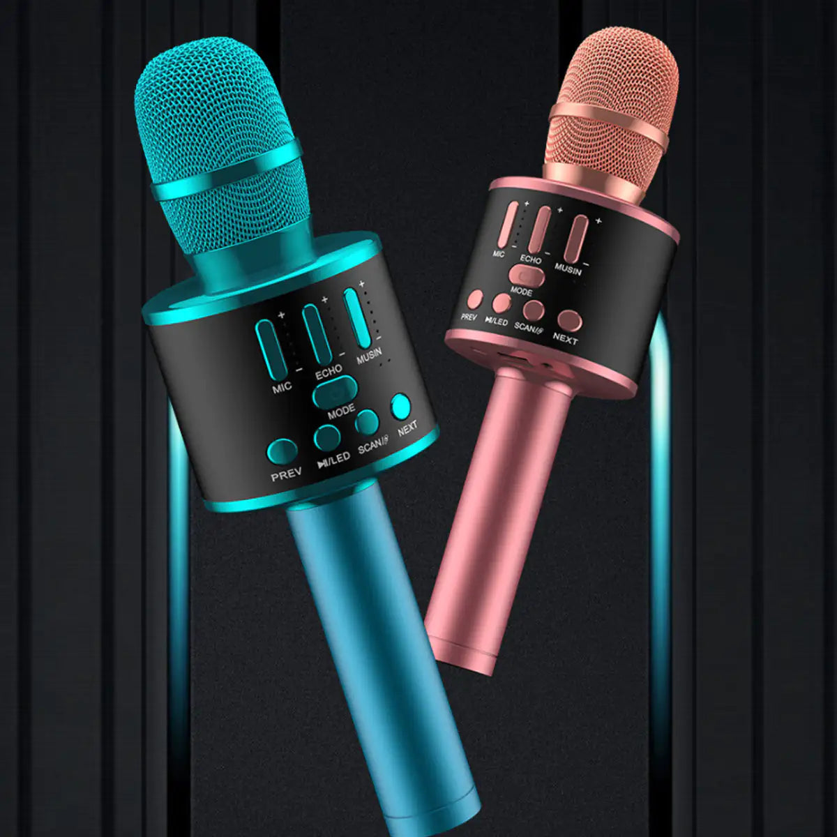 Karaoke Party Microphone With Bluetooth Rieworkes