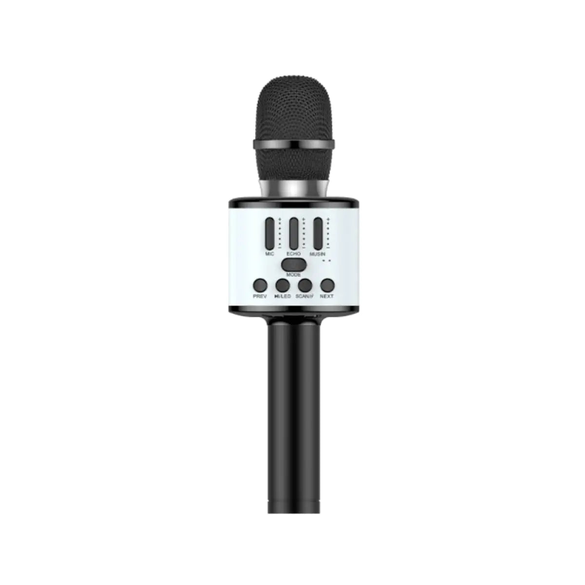 Karaoke Party Microphone With Bluetooth Rieworkes