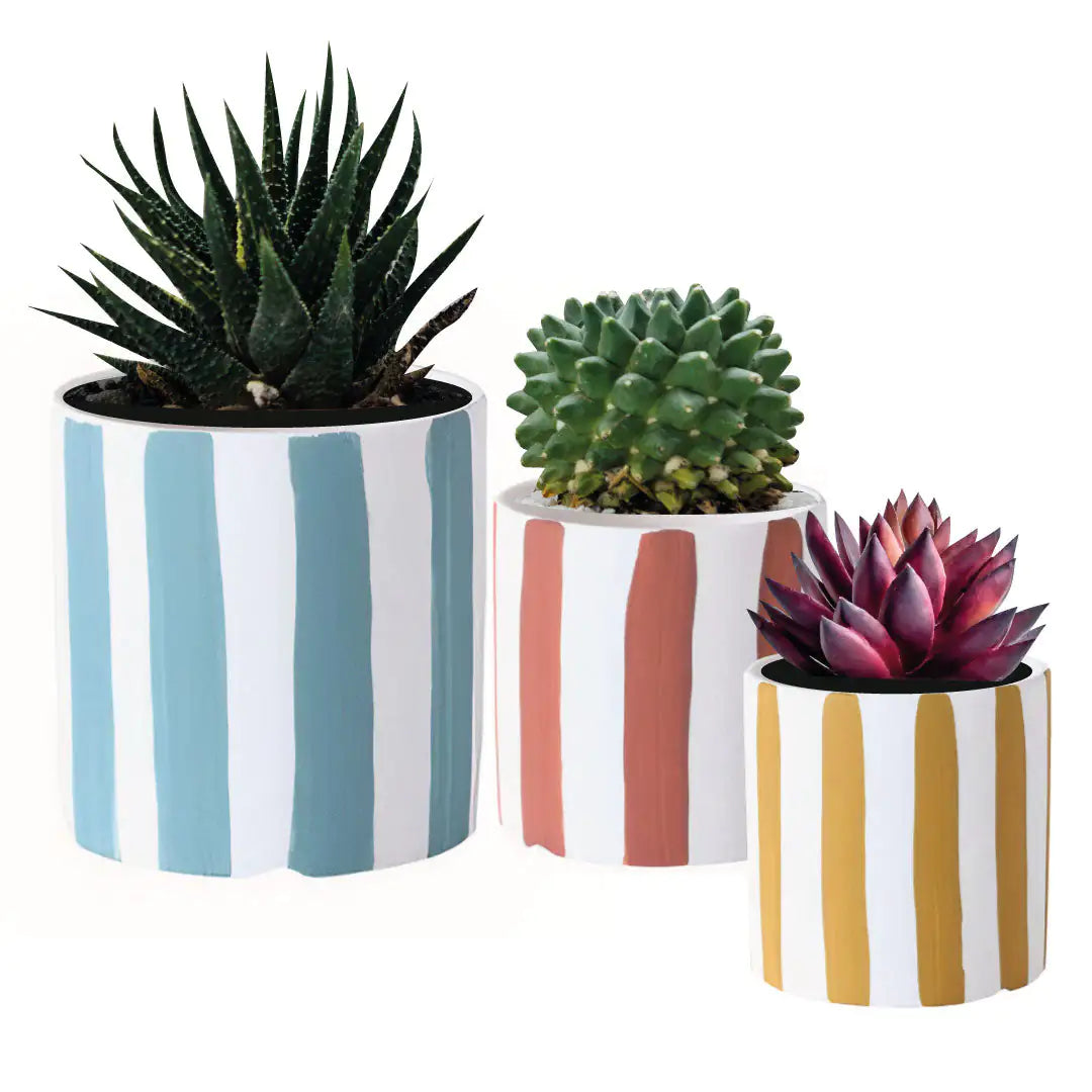 Playful Planters Set of 3 Rieworkes